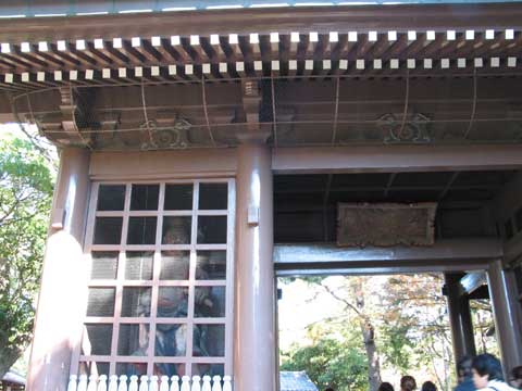 高徳院（鎌倉大仏）境内の写真