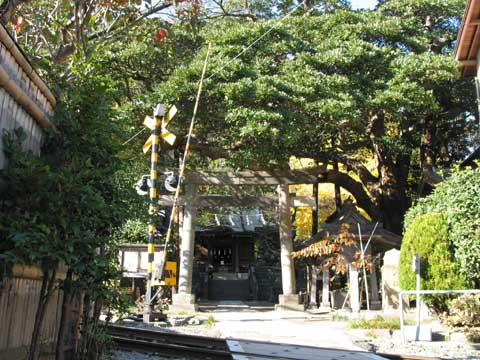 御霊神社（鎌倉権五郎神社）の写真